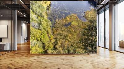 Aerial view of coniferous and deciduous forest and a tarn, seen from above, bird's eye view. Autumn landscape, trees that begin to get fall colors. Nature drone photography.	 Wall mural