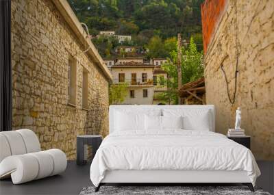 BERAT, ALBANIA: View of the old town of Berat - the city of a thousand windows. Wall mural