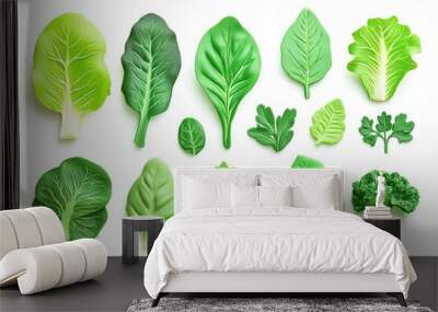 Assortment of Fresh Green Salad Leaves - Vibrant and Healthy Vegetables for Culinary Design, Posters, and Food Cards Wall mural