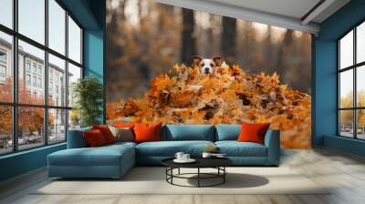 dog in yellow leaves. sweet jack russell terrier in nature in autumn park Wall mural