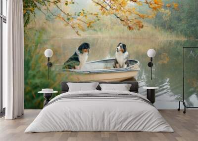 two dogs in a boat, autumn mood. Tricolor australian shepherd in nature Wall mural