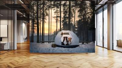 Two dogs in a tent. Hiking in winter forest Wall mural