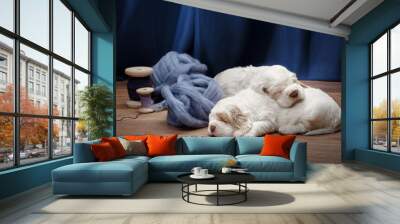 two puppies sleeping together. newborn dog clumber spaniel indoors Wall mural