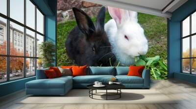 Small rabbits Wall mural