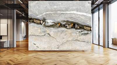 Background stone / Old wall /Texture rock Wall mural