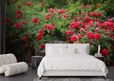 Beautiful red rose bush abundant blooming in summer garden in contryside, blurred tilt-shift shot, Wall mural