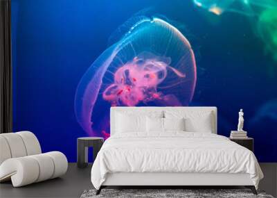 blue with pink jellyfish on blue background Wall mural