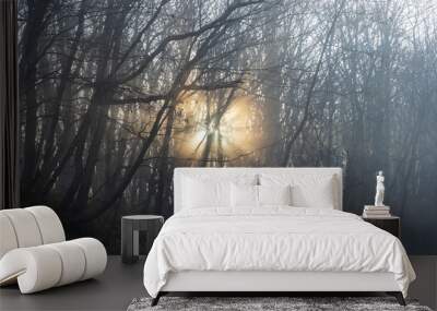 Misty autumnal  forest Wall mural