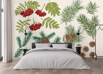 Botanical set with conifers and rowan. Traditional christmas colors. Wall mural