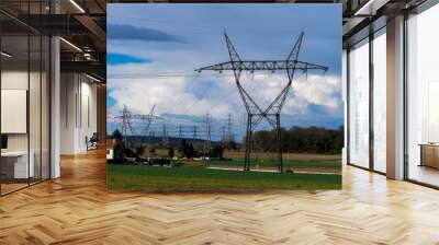 power lines in the field Wall mural