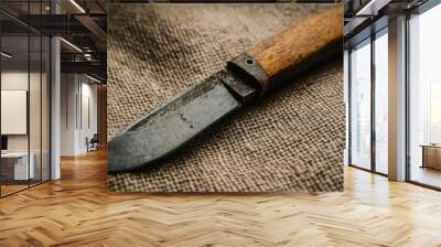 Close-up of an antique pocket knife with a wooden handle resting on a burlap cloth. The metal blade shows signs of rust and aging, with soft ambient light emphasizing the texture. Wall mural