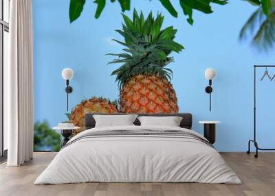 Fresh tasty sweet ripe pineapple fruits isolated on light blue sky background Wall mural