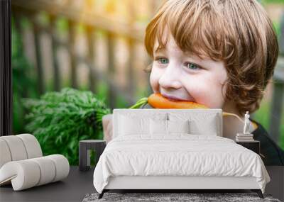 Cute kid boy at the farm eating fresh carrot. Open mouth Wall mural