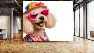 cute poodle in trendy pink sunglasses and hawaiian shirt isolated on white background Wall mural