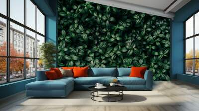 Dark green leaves pattern background, Natural background and wallpaper. Black tropical abstract green grass texture. Ornamental plant in the garden. Eco wall. Organic natural background Wall mural