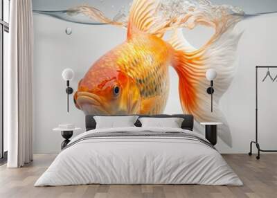 fish isolated on white background, underwater epic elegant high detailed shot with copy space Wall mural