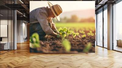 Farmer examining soybean seedlings in the field, agriculture concept Wall mural