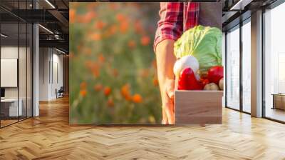 Female farmer holding a wooden box full of fresh raw vegetables. Basket with vegetables. Wall mural