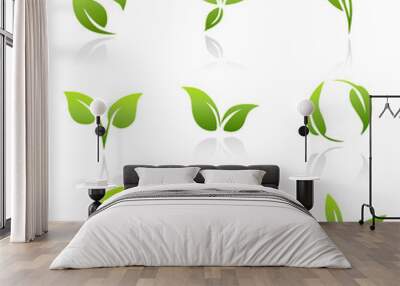 vector icons - green leaves Wall mural