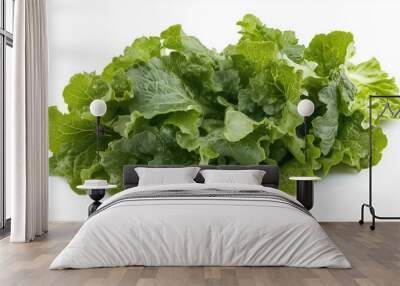 fresh bunch of lettuce, isolate on white background Wall mural