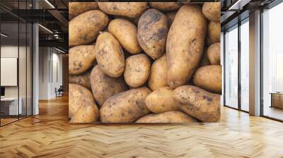 Freshly picked potatoes. Harvest on the farm. Wall mural