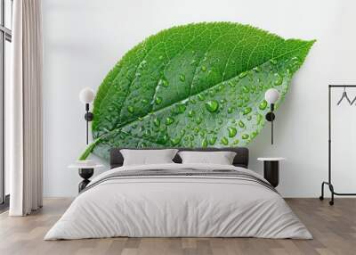 Green liquid leaf Isolated on solid white background Wall mural