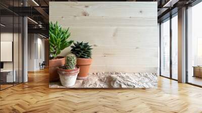 Group of succulents and cactus on the wooden background with copy space. Green and beautiful houseplants.  Wall mural