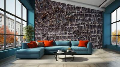 Texture of palm bark Wall mural