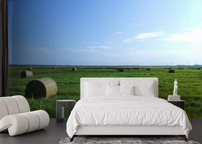 hay bales in the field Wall mural