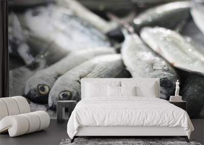 Closeup view of frozen fish at market Wall mural