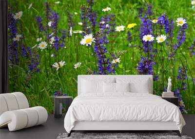 Beautiful wildflowers at springtime close up Wall mural