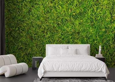 moss Wall mural