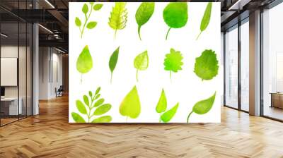 Green vector leaves isolated on white background. Colorful desig Wall mural