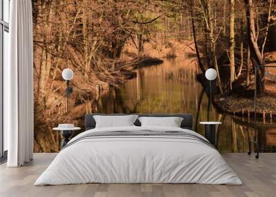 Lake in forest in autumn, water and trees in autumnal colors, autumn nature landscape. Wall mural