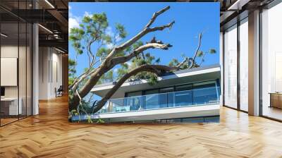 Large Fallen Tree on Modern House Roof After Storm on Sunny Day. Wall mural