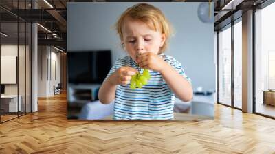 Little boy is sitting on a table in the kitchen and eating grapes. Child tastes fruits.  Wall mural