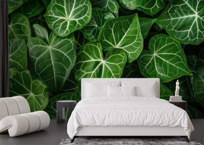 Lush green exotic leaves with striking white veins, densely packed to form a vibrant natural pattern Wall mural