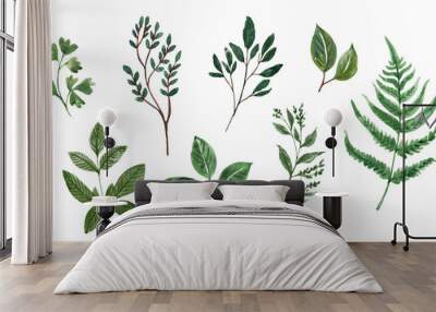 Hand-painted branches and green leaves, isolated watercolor plants. Botanical illustration. Greenery PNG clipart. Wall mural