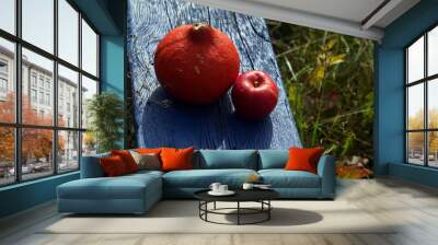 orange pumpkin and red apple on blue wooden bench Wall mural