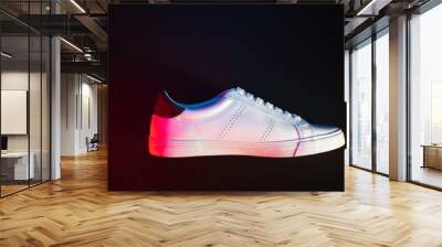 Pair of sneakers on color background, top view Wall mural