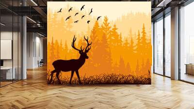 Photographer on meadow in forest take picture of deer. Silhouette of tree, man, animal. Wild nature landscape. Horizontal banner. Wall mural