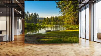 Lassen Volcanic National Park Manzanita Lake California Wall mural