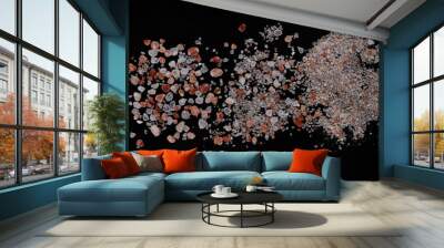 Pink salt crystals from Himalaya on black background Wall mural