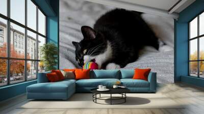 Portrait of cute british short hair kitten of two months old. Selective soft focus. Wall mural