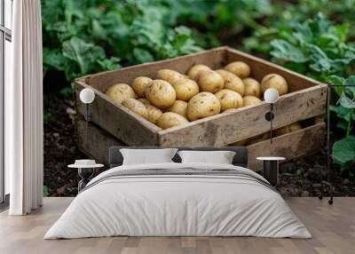 potatoes in a box. Selective focus Wall mural