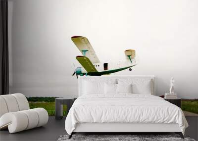 Private aircraft. Light aircraft flying over the field Wall mural