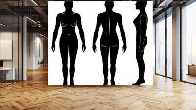 Full length front, back, side view of a lean bald standing naked woman silhouette, isolated on white background. Vector illustration Wall mural