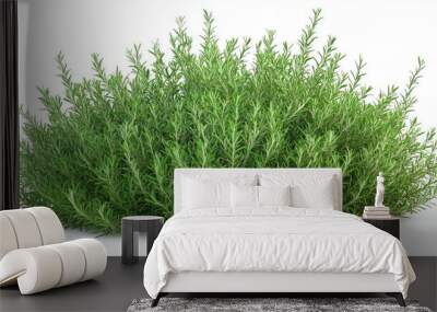 rosemary bush on white background Wall mural