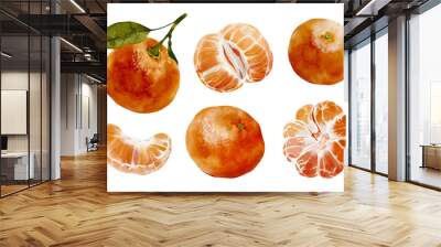 Set of watercolor illustration of tangerines. Isolated on a white background. Perfect clipart for your projects Wall mural