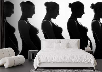 silhouette of a pregnant girl with white hair for nine months and at the end with a newborn Wall mural